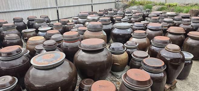 ‘맛있는 부엌’ 앞마당에 놓여 있는 항아리들. 고 씨는 “힘들 때 항아리에 가서 장이 익는 걸 보면 ‘얘네들도 자기 할 일을 열심히 하는데…’라는 생각에 다시 힘이 난다”고 말했다.