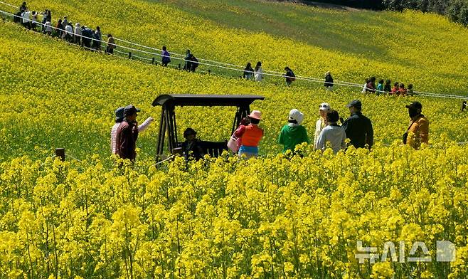 [부안=뉴시스] 김얼 기자 = 완연한 봄 날씨가 이어지고 있는 부안 수성당을 찾은 시민들이 개화를 시작한 유채꽃을 배경으로 사진을 찍고 있다. 2026.04.05. pmkeul@newsis.com