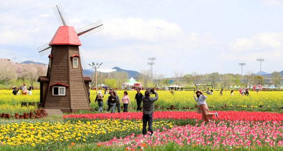 포근한 봄 날씨를 보인 지난 10일 경남 창녕군 남지읍 창녕낙동강유채단지에서 열린 ‘제21회 창녕 낙동강유채축제’를 찾은 상춘객이 봄기운을 봄기운을 만끽하고 있다. 뉴스1