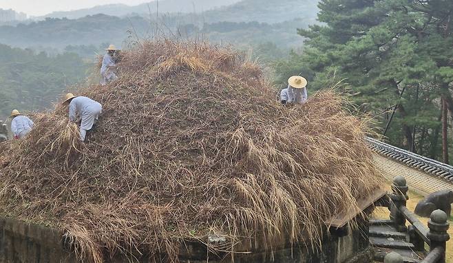 비가 오는 가운데 진행된 건원릉 '청완 예초의' [촬영 김정선]