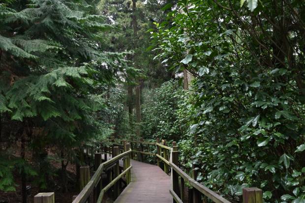 장흥 우드랜드 말레길 하늘데크. /최현배 기자