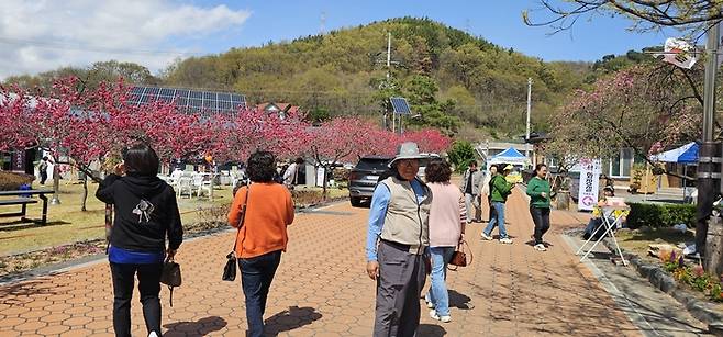 도진리 박돈헌 이장이 마을 입구에서 찾아오는 관광객들을 맞이하고 있다. <석현철 기자>