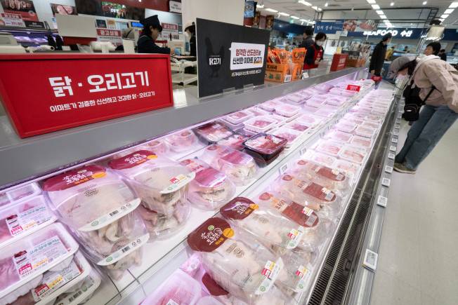 서울 시내 대형마트에 닭고기 등 육계 판매대 모습.(연합뉴스)