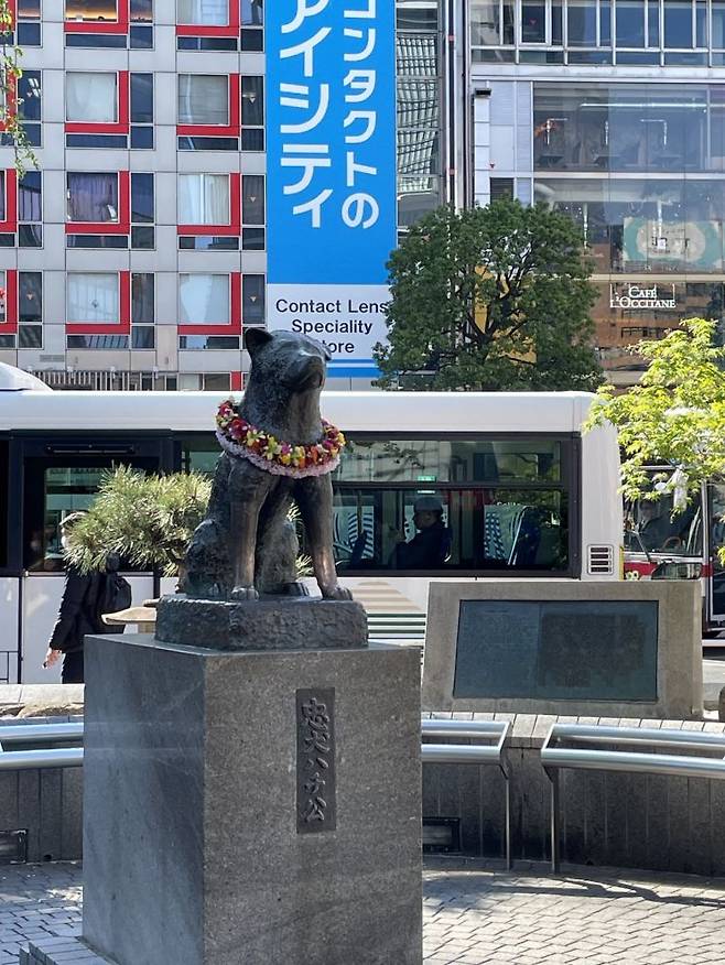 도쿄 시부야역에 세워진 하치 동상. 4월 8일 하치의 날을 기념해 기리는 꽃목걸이를 하고 있는 모습이다. 전진영 기자.