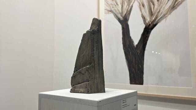 정현 작가의 작품은 무심하면서도 폭발적인 재생의 에너지를 지닌 자연의 모습을 드러낸다. 이나경기자