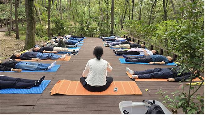 부산시가 산림교육 프로그램을 운영한다. 부산시 제공