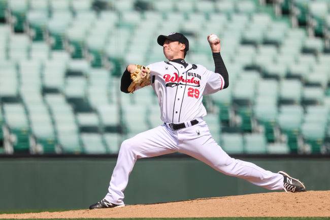 울산 웨일즈 제공