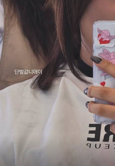 풍자 37kg 감량 근황 총정리｜다이어트 방법·전후 사진·킥복싱·4개월 정체기·한혜진