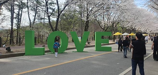 ▲여주흥천 남한강 벚꽃축제 행사장에 설치된 조형물에서 사진촬영하는 관람객. 이번 축제는 단순한 꽃구경 위주의 일회성 행사를 벗어나, 관람객이 현장에 머물 수 있도록 유도한 공간 설계가 주효했다는 평가다. /홍성용 기자 syh224@incheonilbo.com