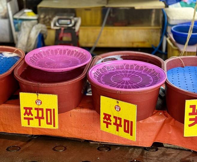 ▲ 2026년 3월30일 인천 남동구 소래포구 어시장에 주꾸미 물량이 부족해 대야가 비어 있다. /정슬기 기자 zaa@incheonilbo.com