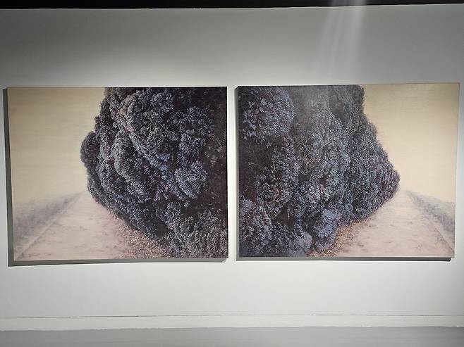 ▲ 성남큐브미술관에서 열리고 있는 성남작가조명전 '헤테로토피아:신화가 된 회화'의 전시 전경. /박지혜 기자 pjh@incheonilbo.com