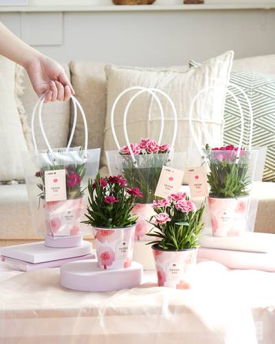 균일가 생활용품점 아성다이소가 지난해 5월 선보인 '가정의 달 기획전' 카네이션 상품. 사진=아성다이소