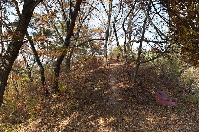 의소세손의 태실이 있는 태봉. /김세동기자