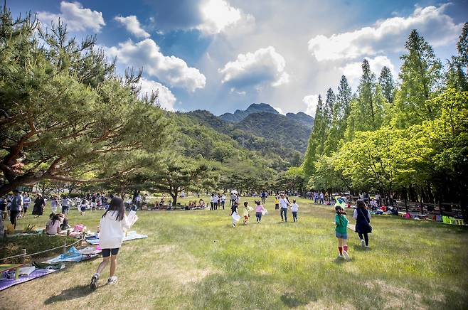 구미시가 관광스탬프 투어를 통해 체류형 관광을 늘리는 프로그램을 본격운영한다. 사진은 인기관광지역인 금오산. /구미시 제공