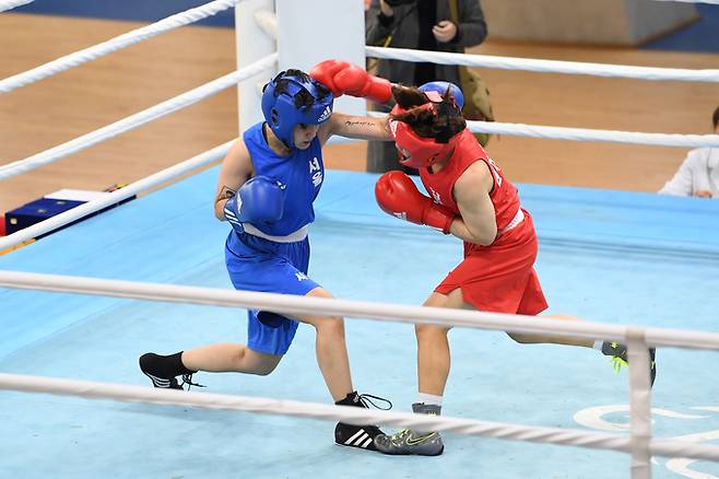 ▲ 국내 최대 복싱 무대 영주서 개막(자료사진)