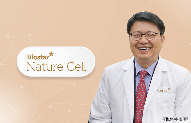 그래픽=박혜수 기자