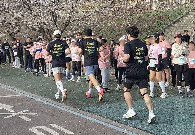 마라톤대회에서 서울시수의사회 회원들이 '세이브런' 단체 티셔츠를 입고 뛰고 있다. ⓒ 뉴스1 한송아 기자