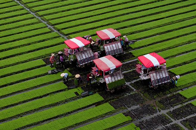 중국 장쑤성 타이저우에서 트랙터가 파종하고 있다. 2024년 6월 12일 촬영/AFP연합뉴스