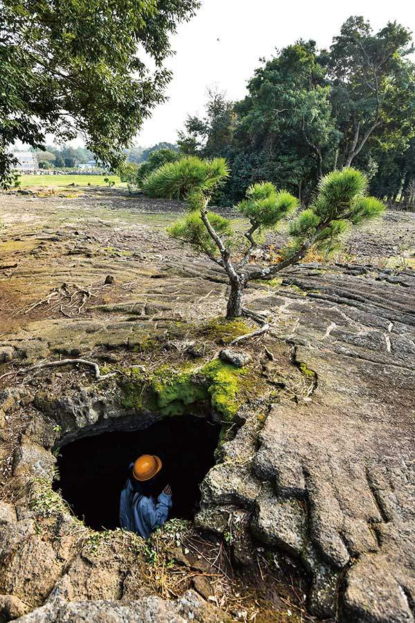 비케이브 정원 동굴.