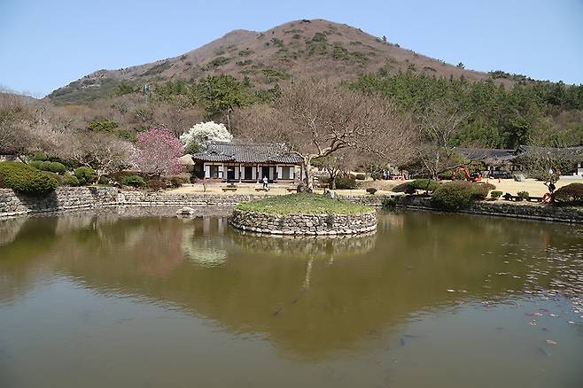 첨찰산을 등지고 남향으로 자리한 운림산방은 진도그림의 뿌리이자 한국 남종화의 고향이다.