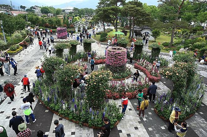 곡성 기차마을 1,004 장미공원 모습.<곡성군 제공>