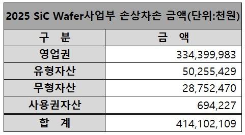 2025 기준 SiC Wafer사업부 손상차손 금액 현황 / 출처 : 금융감독원 전자공시시스템&nbsp;
