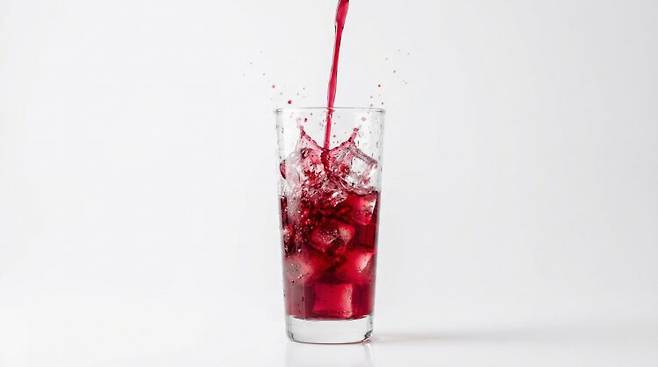 레드와인 비니거는 혈당 안정과 비만 관리에 효과적인 것으로 나타났다.