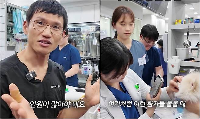 예은동물의료센터가 최근 SNS에 올린 환자(동물)보다 사람이 더 많은 동물병원 영상이 누리꾼들의 공감을 얻고 있다(예은동물의료센터 인스타그램 갈무리). ⓒ 뉴스1