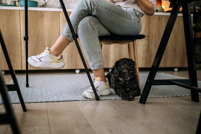 사진=게티이미지뱅크.