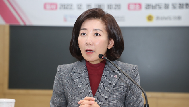 나경원 국민의힘 의원