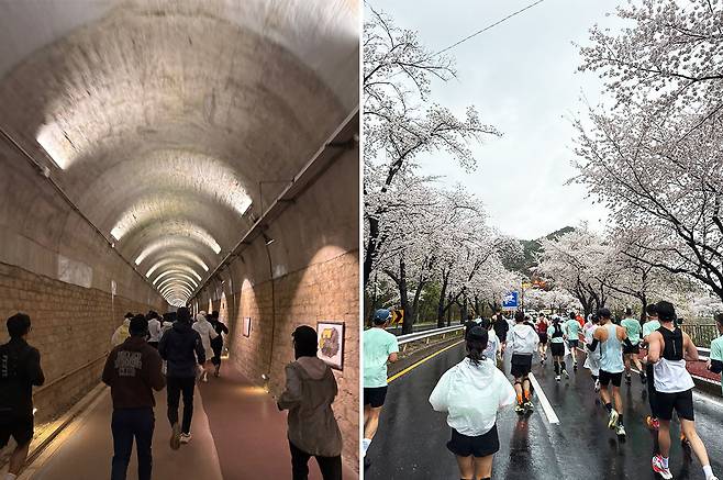 [좌] 여수해양마라톤-오림터널공원 코스 [우] 경주벚꽃마라톤대회 / 양재천러너스 제공