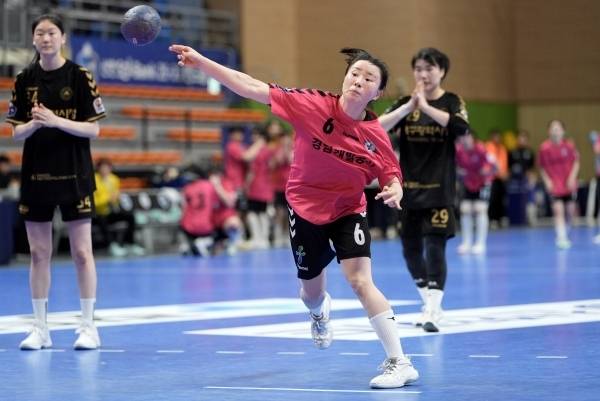 샤진 경남개발공사 정예영