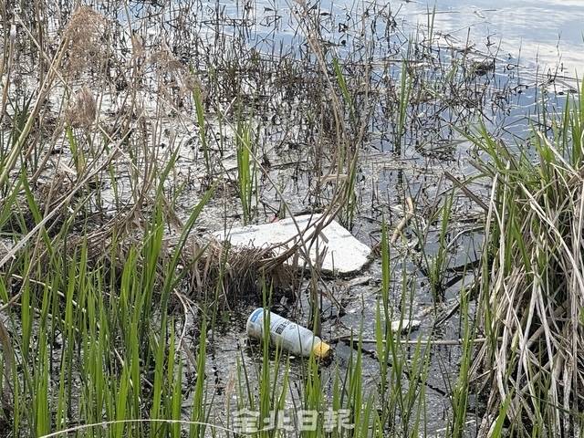 12일 방문한 전주천에 플라스틱병과 스티로폼 등이 떠 있다. /이상구 수습기자