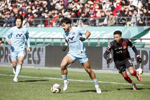 대구FC 세징야. 대구FC 제공