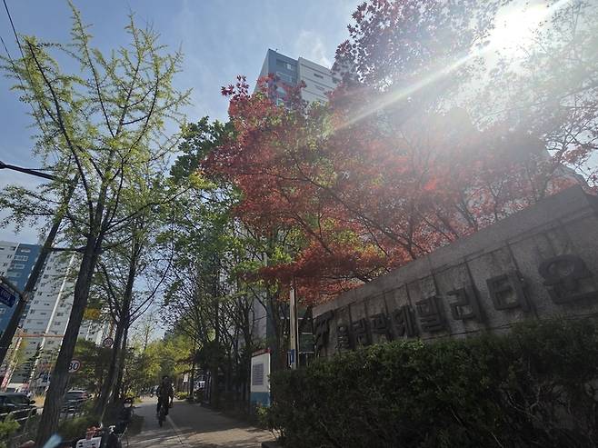 ▲재건축 기대감이 커지고 있는 서울 송파구 올림픽훼밀리타운 단지 입구. 봄 햇살 아래 단지 녹지와 보행로가 어우러져 있다. 사진=장혜원 기자