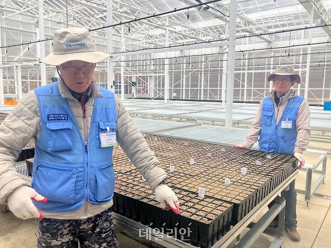 태백시니어클럽 자생식물증식장. ⓒ한국노인인력개발원
