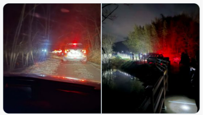 영화가 입소문을 타며 새벽 시간대 충남 예산군 살목지를 방문하려는 차량이 줄지어 서 있다. 온라인 커뮤니티 갈무리