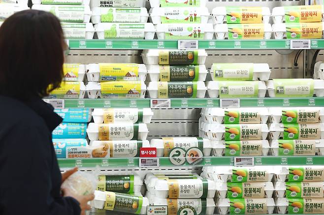 서울의 한 대형마트 계란 판매대 모습. [연합]