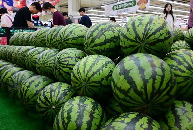 서울 서초구 하나로마트 양재점에서 시민들이 과일을 고르고 있다. 이상섭 기자