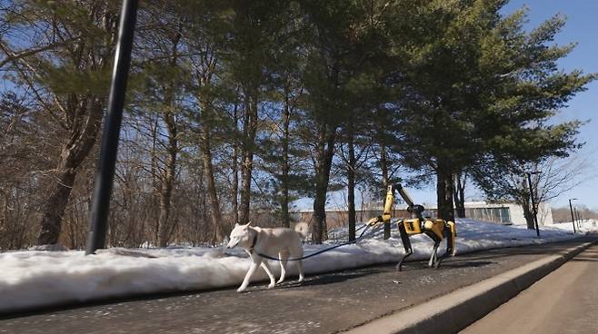 보스턴다이내믹스가 개발한 로봇개 ‘스팟’이 목줄을 잡고 강아지 산책을 시키고 있다. 현대차그룹 제공