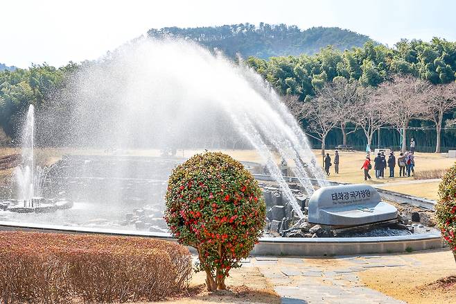 무지개 분수 [사진/정동헌 기자]