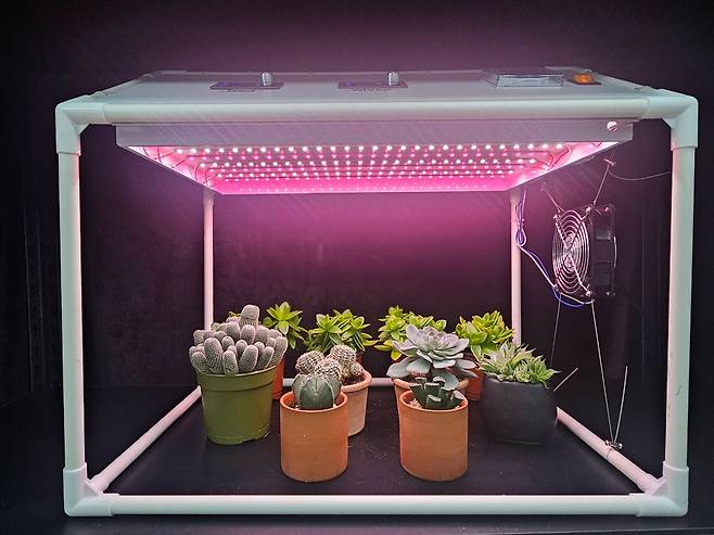 가정용 다육식물 생육상