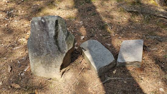 단종 태실지에 석물이 쓰러져 있다.