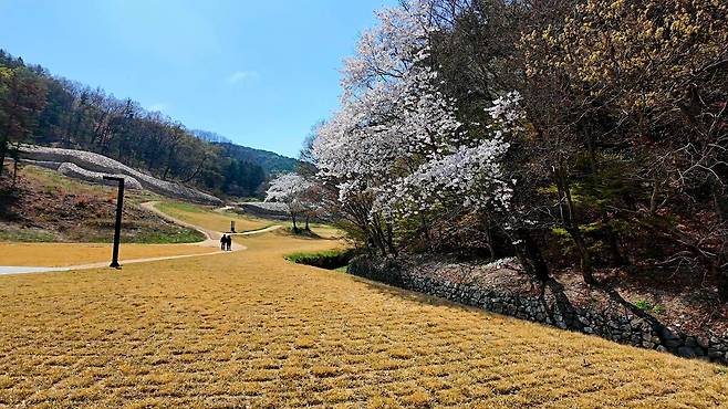 선덕여왕길 시작점이자 입구에는 사적지 명활성이 새롭게 정비되고 있다.
