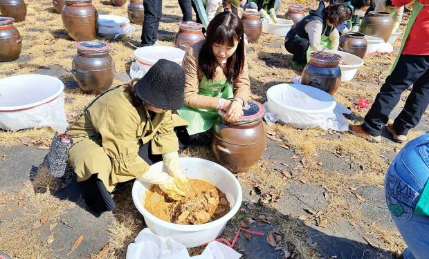 관광객들이 부석태 메주로 전통 된장 담그기 체험을 하고 있다. 영주시 제공