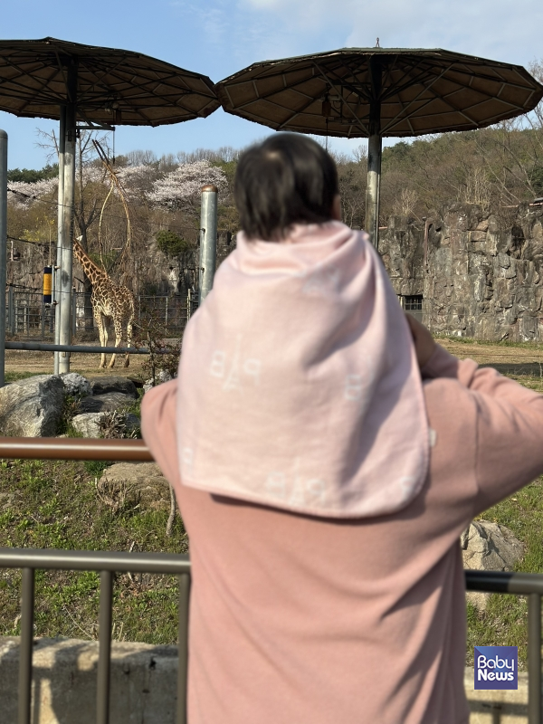 아이 덕분에 새롭게 발견하는 세상이 있다. ⓒ강백수