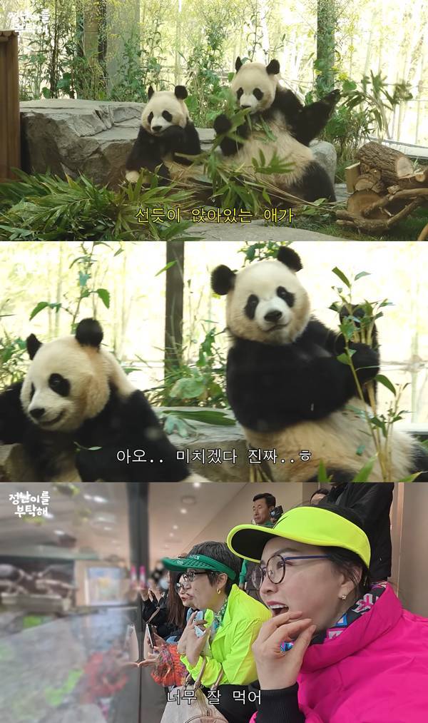 ⓒ유튜브 채널 '김정난' 영상 캡처