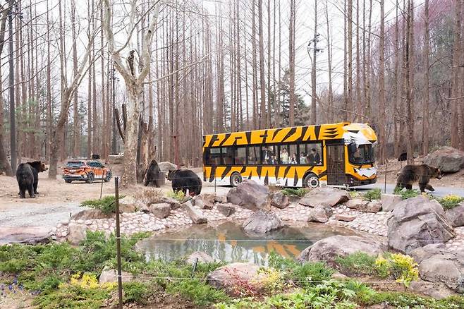 사파리 더 와일드.ⓒ삼성물산