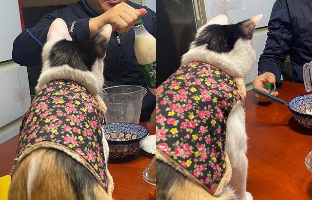 아버님과 즐거운 시간 보내는 쩨리. 보호자 제공