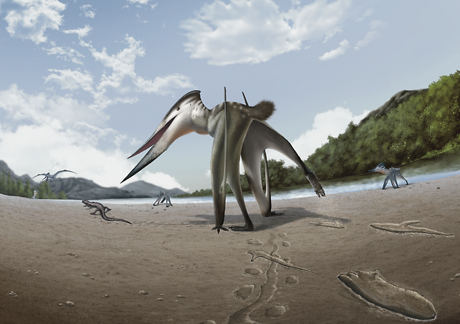 작은 동물을 사냥했을 것으로 보이는 익룡 복원도. 진주교대 제공